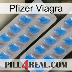 Pfizer Viagra 23